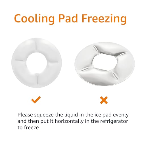 New Amazon Basics Automatic Pet Feeder with Cooling Pack | White, 31.5×31.5×8.3 cm