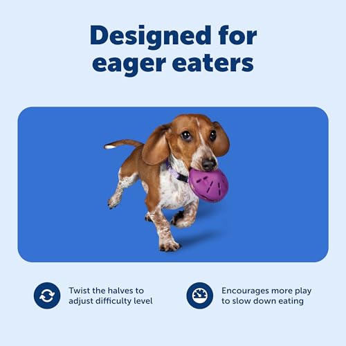 New PetSafe Busy Buddy Twist ’n Treat | Purple, Small