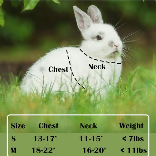 New FiboPawer Rabbit Harness and Leash Set | Green,S