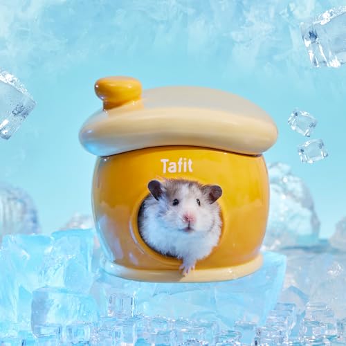 New tafit Ceramic Igloo Hamster Hideout | Orange