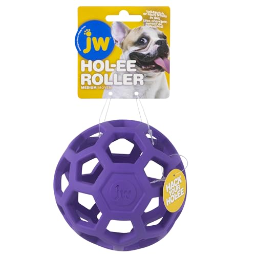 New JW Pet Hol-ee Roller Puzzle Ball | Assorted, Medium (4.5")