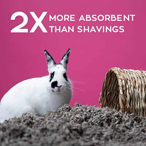 New Carefresh 99% Dust-Free Natural Paper Small Pet Bedding | Natural, 60 L