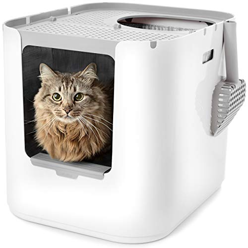 New Modkat XL Litter Box, Top or Front-Entry Configurable | White, XL