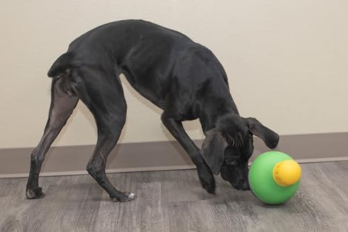 New Starmark Bob-A-Lot Interactive Toy | Yellow/Green/Purple, Large