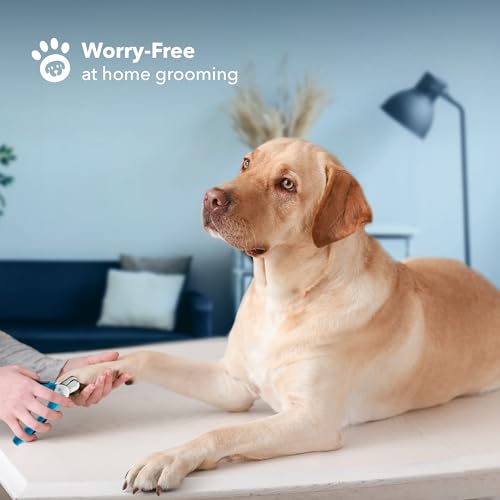 New Boshel Dog Nail Clippers and Trimmer