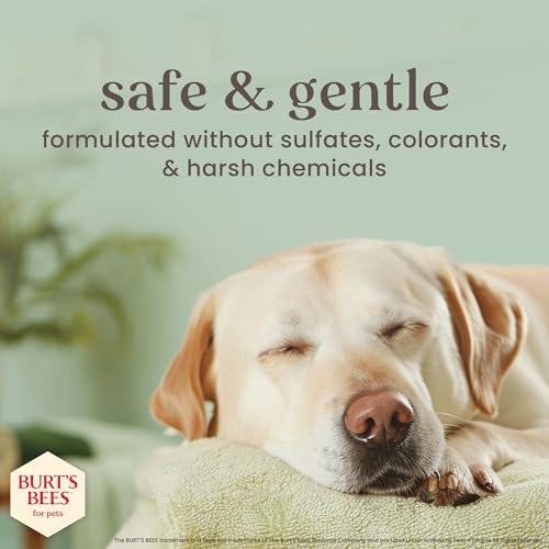 New Burt's Bees Manuka Honey Multipurpose Wipes with Kelp | 50 count