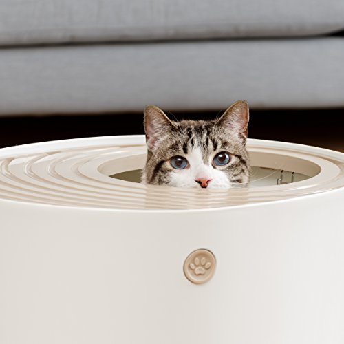 New IRIS USA Top Entry Cat Litter Box with Scoop | Beige/White