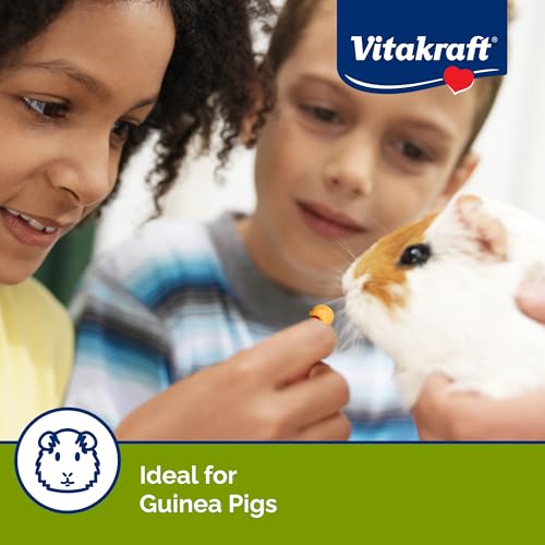 New Vitakraft Drops with Orange Flavor Guinea Pig Treats | 5.3 oz, Pack of 2