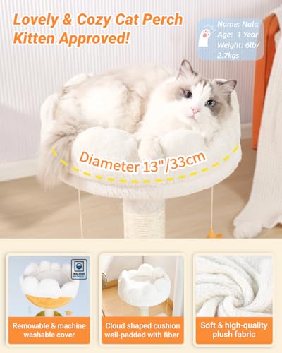 New Happi N Pets Cloud Cat Tree and Scratching Post with Bed | 22"