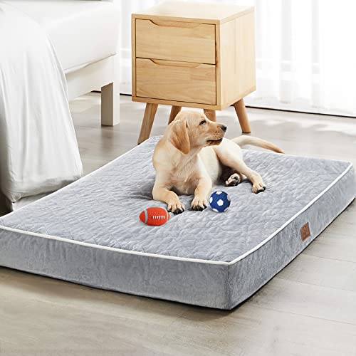 New WNPETHOME Orthopedic Large Sized Dog Bed | Light Grey, 47"L x 29"W x 3.5"Th