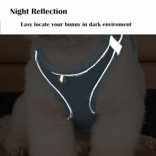 New FiboPawer Rabbit Harness and Leash Set | Green,S