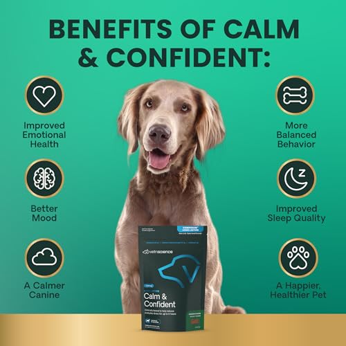 New VetriScience Composure Long Lasting Calming Chews | Chicken, 90 Count