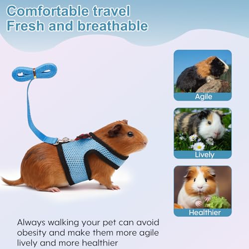 New Guinea Pig Harness and Leash | 2packs - Blue + Orange