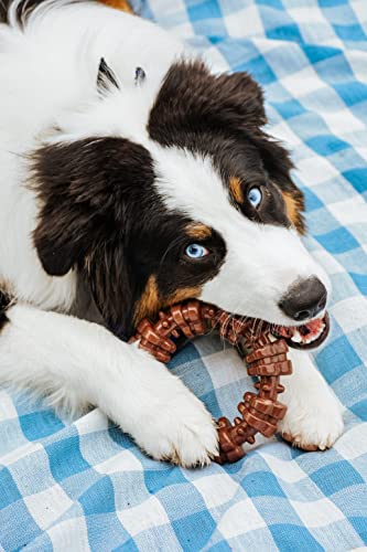 New Nylabone Textured Ring Power Chew | Flavor Medley, X-Large (50+ lbs)