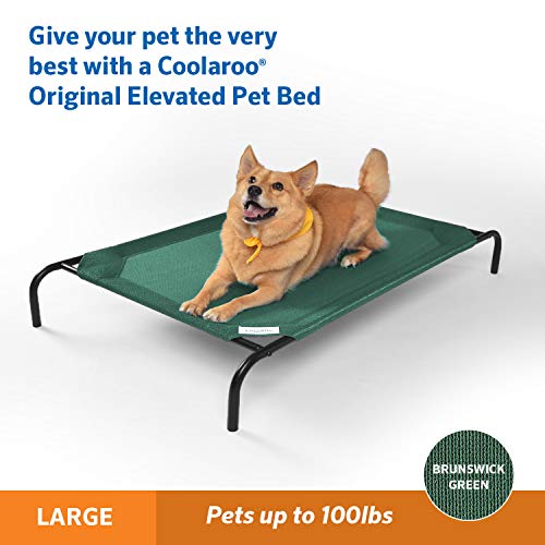 New Gale Pacific Coolaroo The Original Cooling Elevated Dog Bed| Large, Brunswick Green, 51.00" x 31.50" x 8.00"