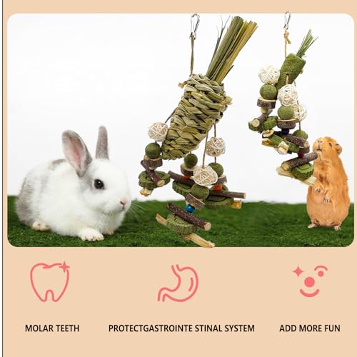 New Acsist Rabbit Chew Toy Bunny Cage Hanging Chew Toy and Treats | 2 pcs