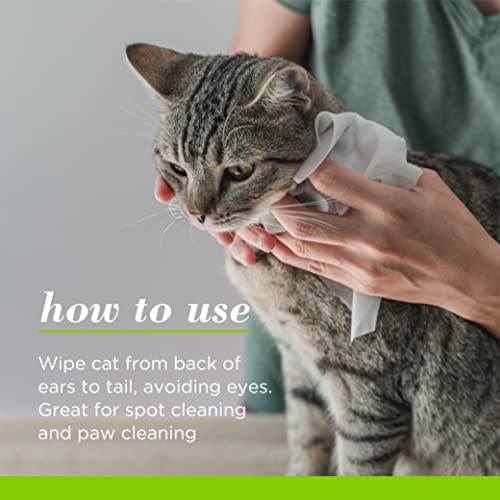 New Burt's Bees for Pets Deodorizing Cat Wipes | 50 count