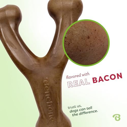 New Benebone Wishbone Durable Chew Toy | Bacon, Medium
