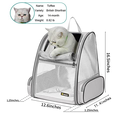 New Texsens Pet Backpack Carrier | Light Gray