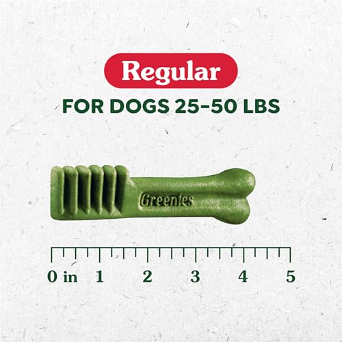New Greenies Original Regular Dental Dog Treats | 6 oz (6 treats)