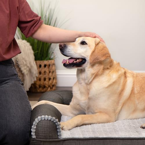 New Furhaven Orthopedic Dog Bed | Charcoal, Large