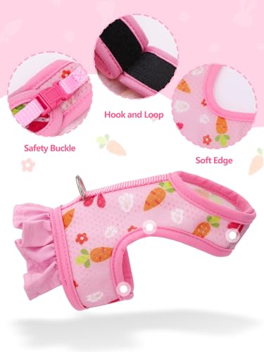 New Hotlion Rabbit Harness and Leash Set | Orange - S