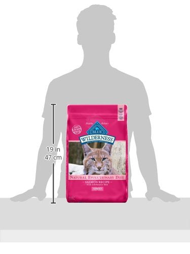 New Blue Buffalo Wilderness Adult Dry Cat Food | 11 lb bag, Salmon