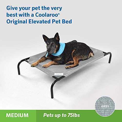 New Coolaroo Original Elevated Dog Bed | Grey, Medium