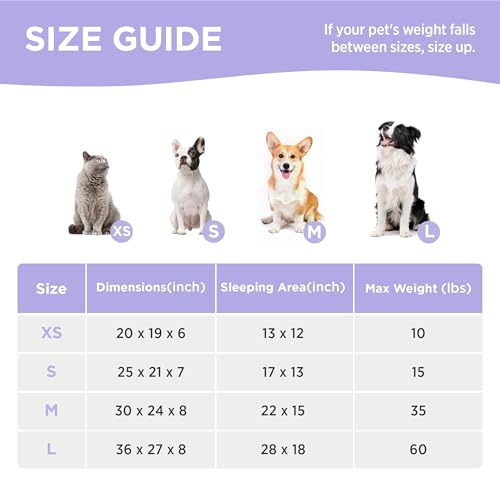 New Lesure Cute Dog Bed for Small Dogs | Ice Blue, 25x21x7inches