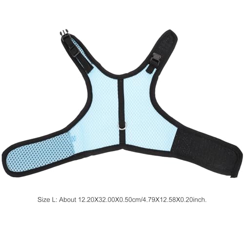 New TOYANDONA Small Animal Harness Leash Set| L, 3pcs Pack (Rose Red, Light Blue, Pink) for Indoor and Outdoor Pet Walking