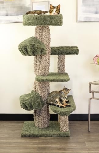 New New Cat Condos Unique Cat Tree Scratcher
