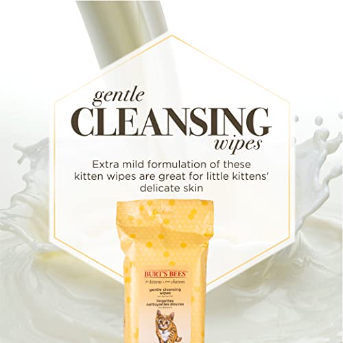 New Burt's Bees for Pets Kitten Wipes with Buttermilk | 50 count