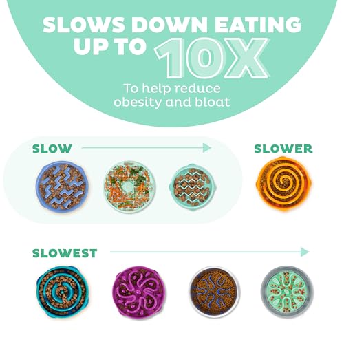 New Outward Hound Small Fun Feeder Slow Bowl (Puzzle) | Mint, ¾ Cup