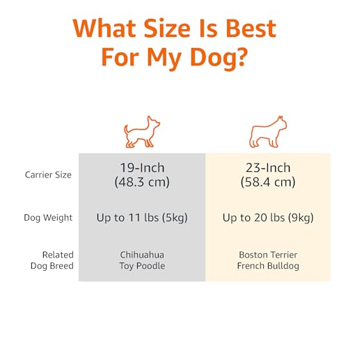 New Amazon Basics 2-Door Top-Load Hard-Sided Pet Travel Carrier | Gray/Blue & 19"×12.6"×10"