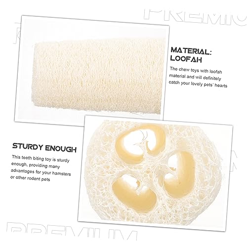 New COLLBATH Guinea Pig Chew Toy Natural Loofah Molar Snack | Natural