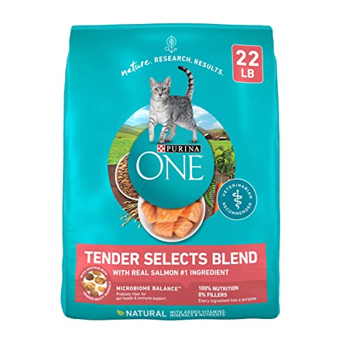 New Purina ONE Natural Dry Cat Food Tender Selects with Real Salmon | 22 lb bag, Real Salmon