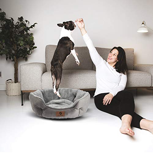 New Asvin Small Dog Bed | Grey, 20 inches