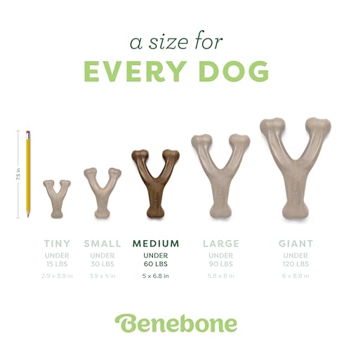 New Benebone Wishbone Durable Chew Toy | Bacon, Medium