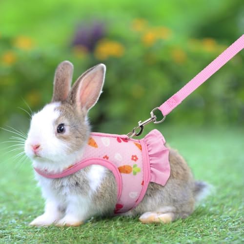 New Hotlion Rabbit Harness and Leash Set | Orange - S