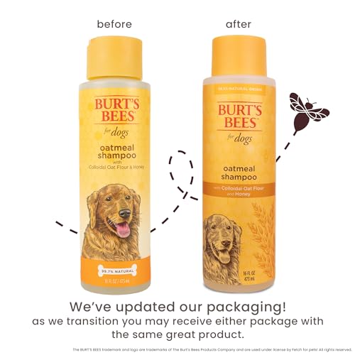 New Burt’s Bees Oatmeal Shampoo for Dogs | 16 fl oz