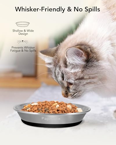 New Stainless Steel Cat Bowls Wide and Shallow | 4 pcs, 6.3 inch, Stainless steel