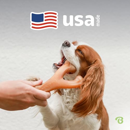 New Benebone Wishbone Durable Chew Toy | Bacon, Medium