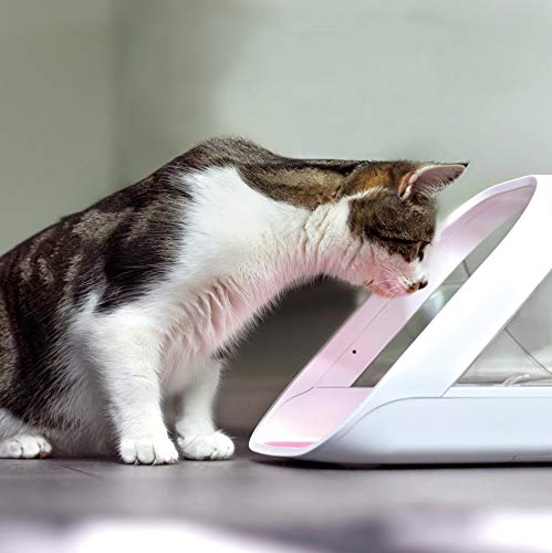 New SureFeed Microchip Pet Feeder Connect - Requires Hub (Sold Separately)