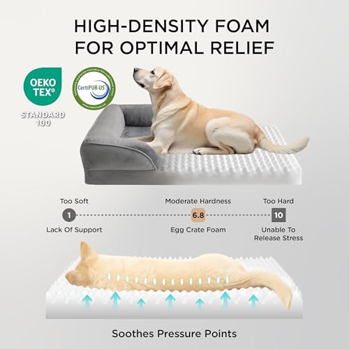 New Bedsure Orthopedic Dog Beds for Small Dogs | Grey, 24"