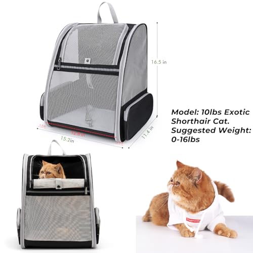 New Lollimeow Cat Backpack Carrier, Fully Ventilated | Mesh Black