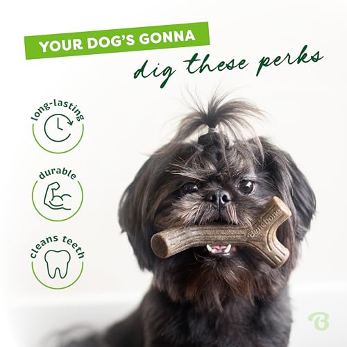 New Benebone Maplestick Durable Chew | Brown, Small