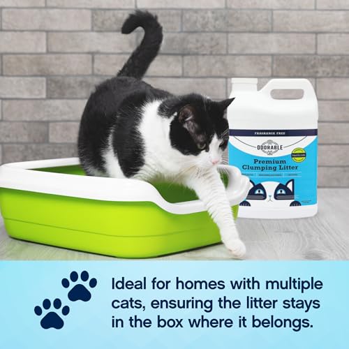 New Odorable Fragrance-Free Premium Clumping Cat Litter | 20 lb