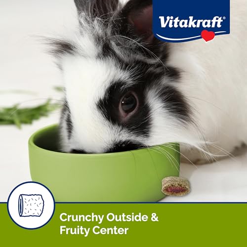 New Vitakraft Bursts Small Animal Treat | Wild Berry Flavor, 5.28 oz