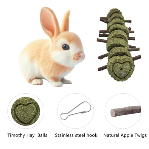 New LWINGFLYER Bunny Chew Toys Apple Wood Chews Cage Hanging Grass Cake Snack | 4 pack