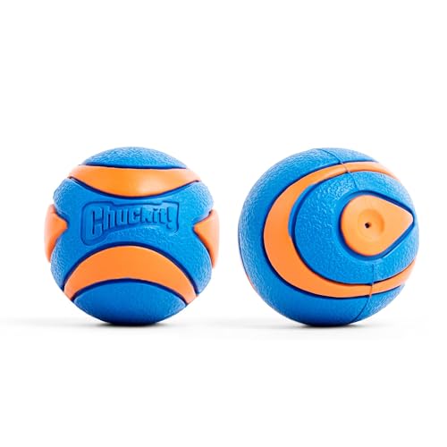 New Chuckit! Ultra Squeaker Balls | Orange/Blue, Medium (2-Pack, 2.5")